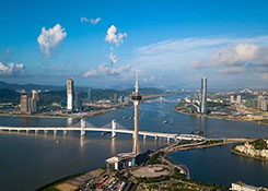 粤港澳大湾区规划出炉，区内4大港口股今日集体涨停！