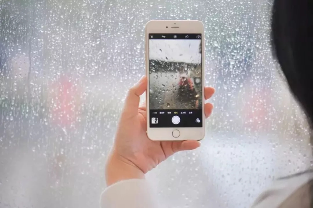 社交电商，将死于社交？