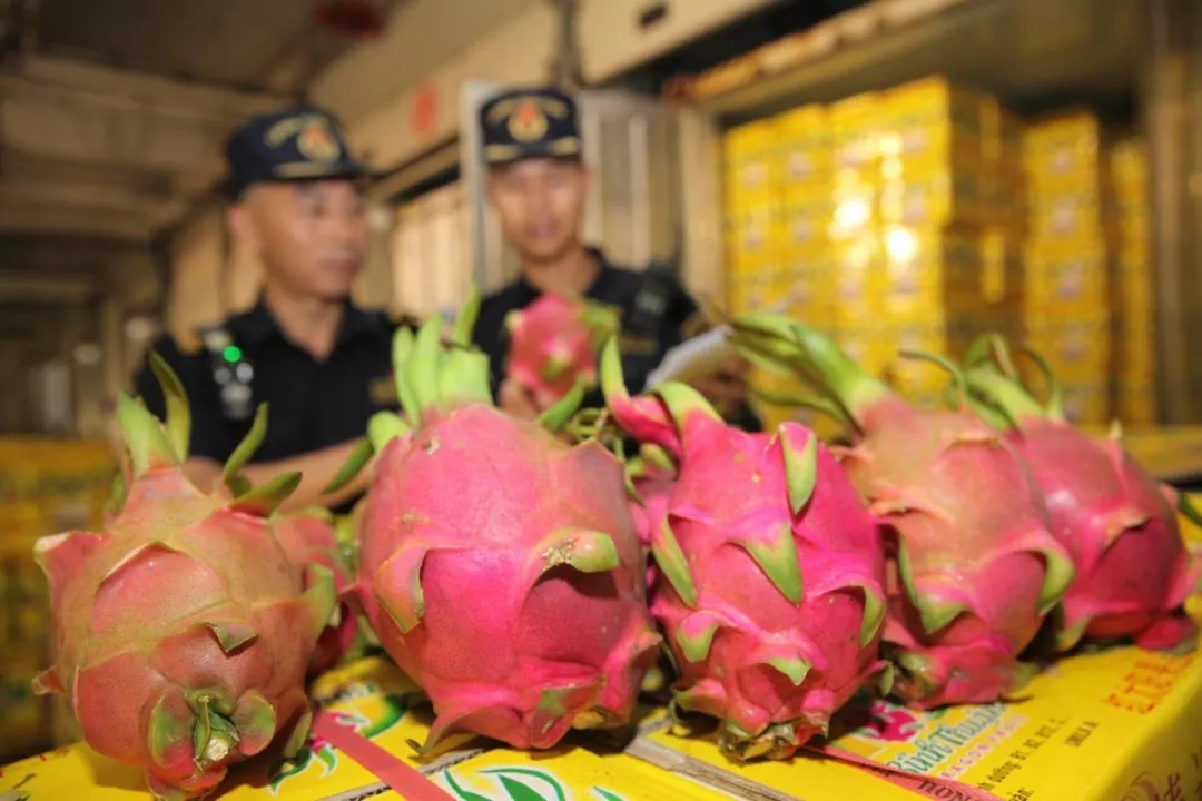 大连海关助力“一带一路”农产品走上百姓餐桌