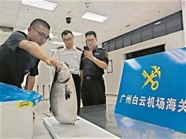 广州空港经济区着力优化营商环境 推动发展临空新业态