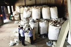 夜读海关 | 天津海关截获松鼠遗骸；7500余吨涉案“洋垃圾” 退运！