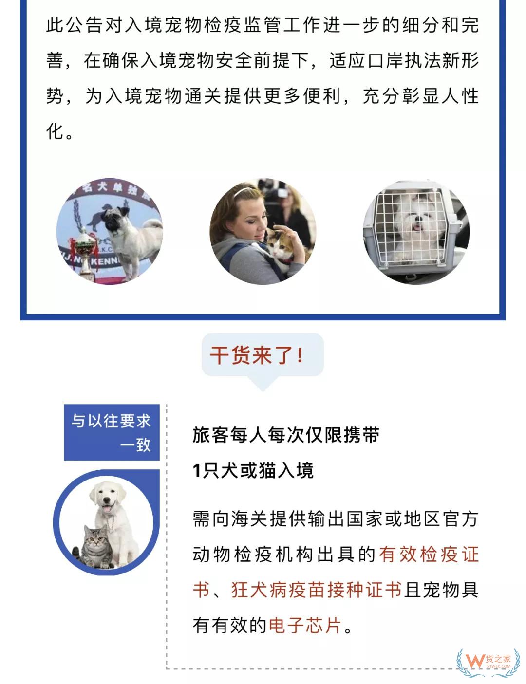 宠物入境有新规 猫狗通关更便利——货之家
