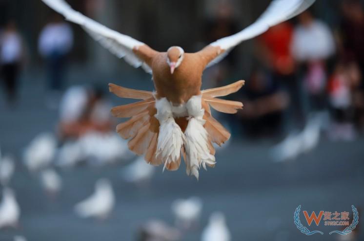 持多边贸易 《亚太零售商协会联盟倡议书》—货之家 持多边贸易 《亚太零售商协会联盟倡议书》—货之家