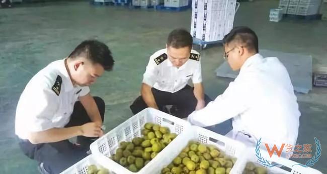 夜读海关 | 天津海关截获松鼠遗骸；7500余吨涉案“洋垃圾” 退运！—货之家